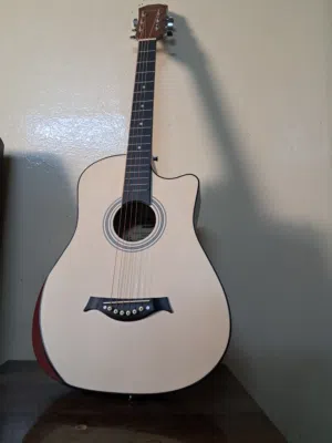 Acoustic guitar with bag