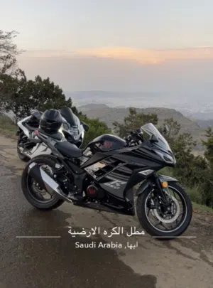 ريس 250 الوسام