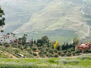 Mixed Use Land for Sale in Jerash Other