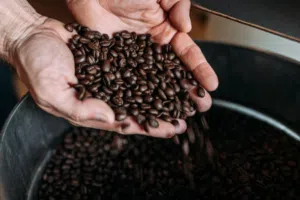 قهوة برازيلية عربية جودة عالية