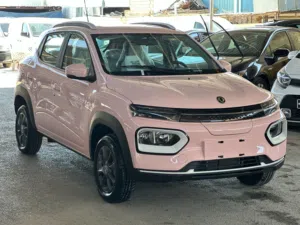 DONGFENG NANO BOX EX1 EX 1 2023 لون زهري فقط