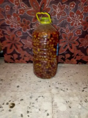 سلام عليكم للبيع زيتون أحمر