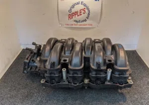 F150 (2015-2023) INTAKE MANIFOLD 5.0
