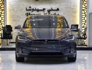 Tesla Model X 100D - Long Range ( 2019 Model )