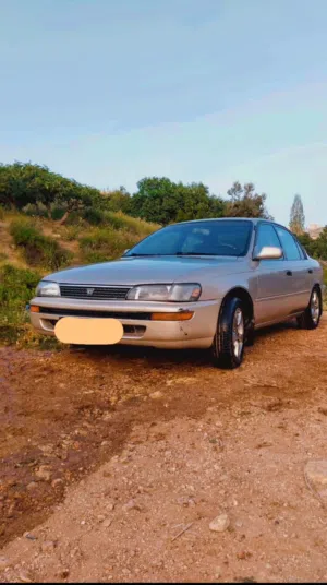 Used Toyota Corolla in Amman