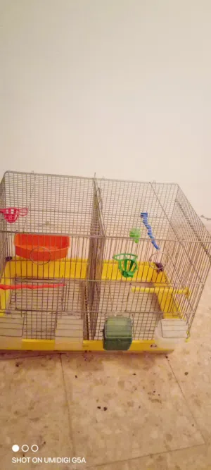 قفاص عدد 4 ومشارب دجاج عدد 3