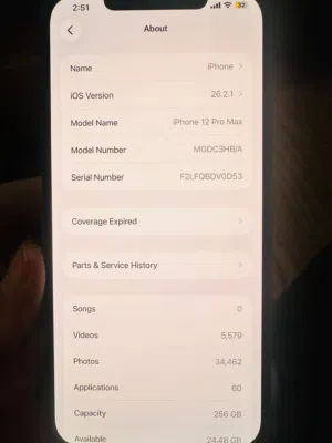 Apple iPhone 12 Pro Max 256 GB in Nablus