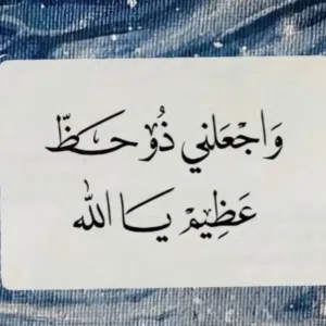 ردينه هشام سعد محمد 