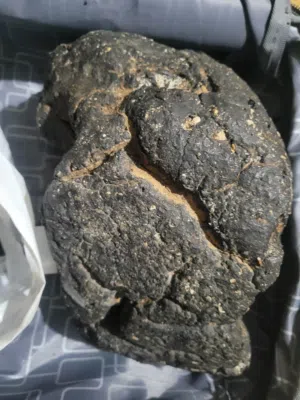 عنبر الحوت اسود جوده ممتاز كميه كويس