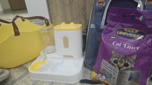 مستلزمات القطة