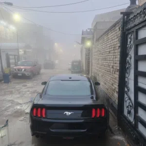 حسين 