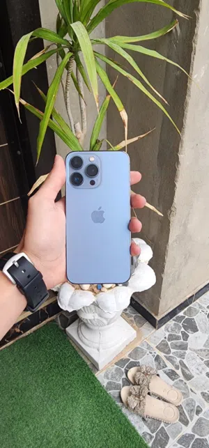 ايفون 13 برو