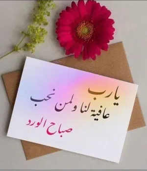 شقه مشتركه للايجار