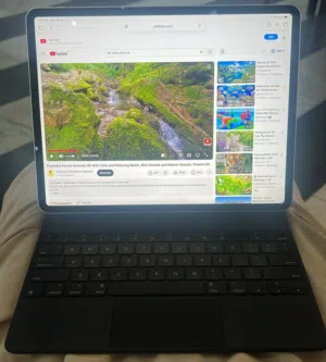 Apple iPad pro 4 256 GB in Amman