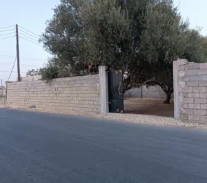 قطعة أرض للإيجار