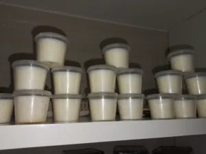 كريم دروة الجمل