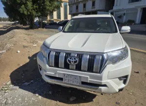 برادو 2019