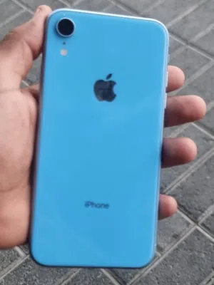 Apple iPhone XR 128 GB in Muscat