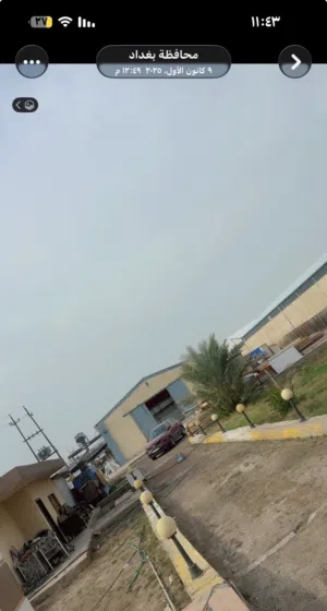 مجزرة دجاج في بغداد للبيع (مجازه رسمية)