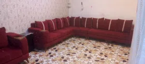 قنفات.   حرف L.  نظاف