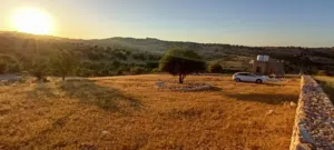 Farm Land for Sale in Ajloun A'fna