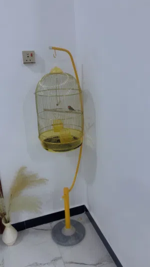 قفص للبيع مع الطير