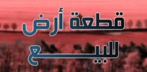 شنيبه العقارات