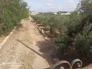استراحة 4000 متر