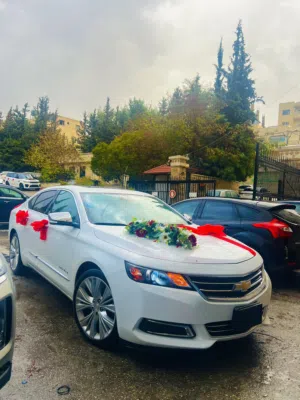 شفرليه-امبالا-2019