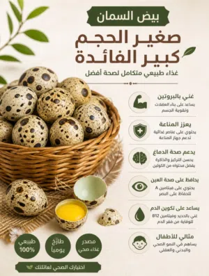 بيع بيض السمان 35 بيضه بريال