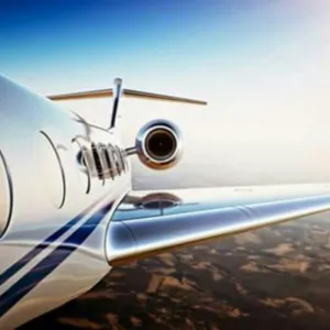 ساقي السوسنة 