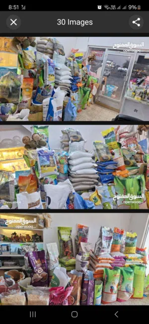 BIRDS CAT FOOD ACCESSORIES SALE //THARMAD SHOQ