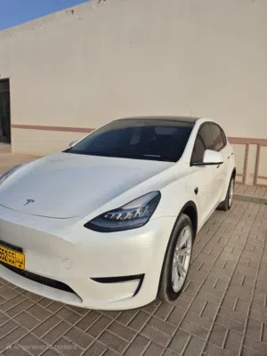 للبيع: تيسلا موديل Y لونج رينج - 2022