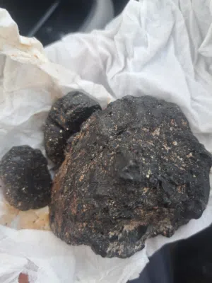 عمبر خام  للجرام 1