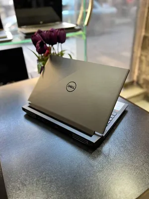 Dell G15 5511 Gaming Laptop (2021)