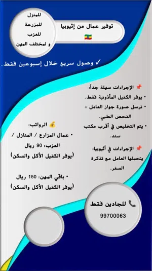 نوفر ابقار محليه