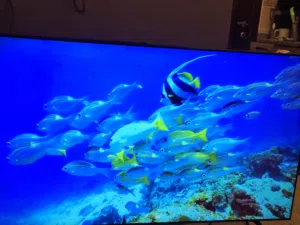 Samsung TV 65