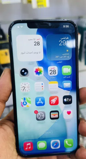 أيفون 12 pro max