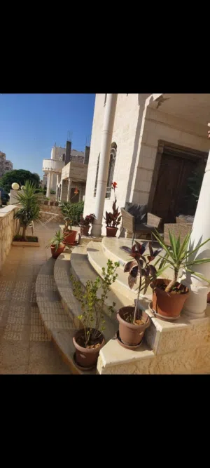 360 m2 More than 6 bedrooms Townhouse for Sale in Zarqa Madinet El Sharq