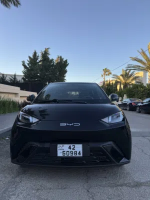 Used BYD Seagull in Amman