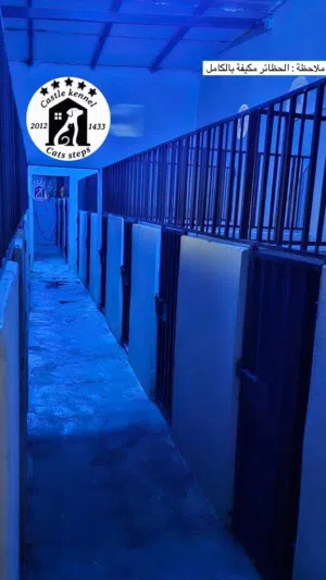 فندقة وتدريب كلاب على أعلى مستوى