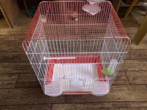 موجود قفص عصافير مع كامل اغراضو ونظيف جدا للبيع فقط 4.00