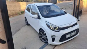 عرض-اليوم-لحق-وعيد-ومبروك-عليك-كايا-مورنينغ-2019-جديده-ولا-غرام-بويه-وهديه-ترخيص-سنه-معاها-كاملات