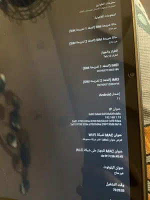 Blackview Tab 12 64 GB in Amman