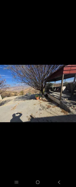 Farm Land for Sale in Salt Al Subeihi