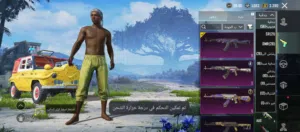 حساب ببجي للبيع السعر حط سعرك واخذه الوصف مهم اقرا