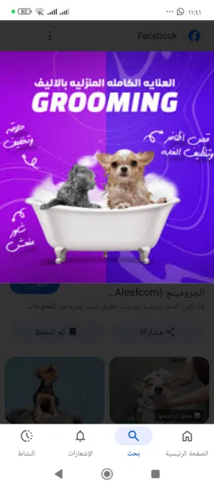 #تدريب كلاب#اقامة #جرومينج#k9