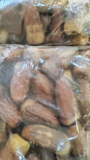 تمر نغال الحجم الكبير