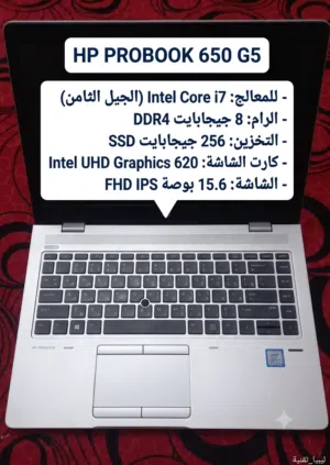السعر 2300