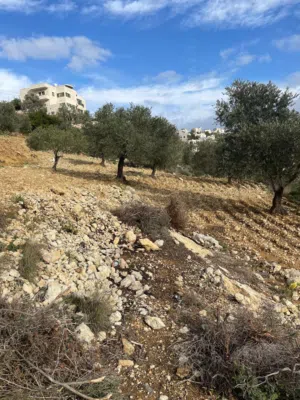 فرصة استثمارية